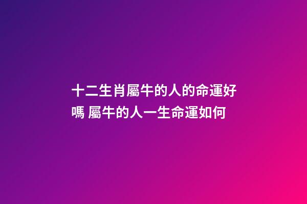 十二生肖屬牛的人的命運好嗎 屬牛的人一生命運如何-第1張-觀點-玄機派